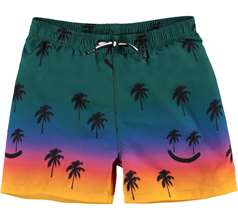 Niko Swimwear